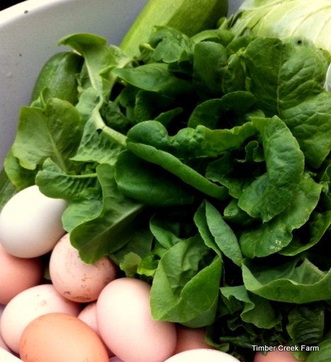 how-to-compost-chicken-manure